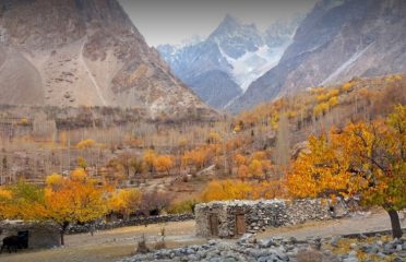 Tours to Pakistan, Tourism in Pakistan –  ٹورزم پاکستان