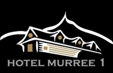 Hotel Murree 1